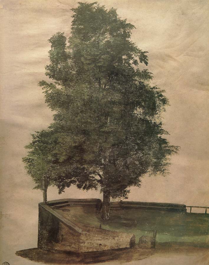 Linden Tree on a Bastion